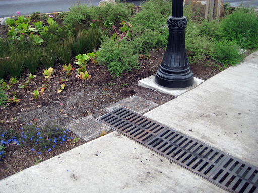 7 Landscape Drainage Design Mistakes to Avoid-9