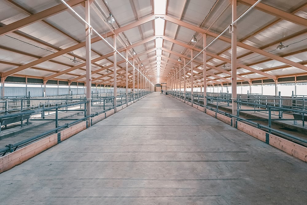 Large hangar. Empty spacious large room, hangar.