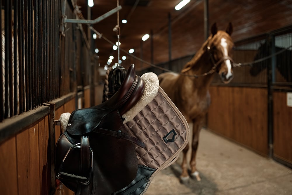 horse stalls