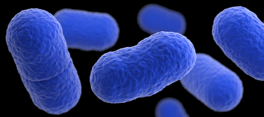 Preventing Listeria Outbreaks in Food Facilities 1