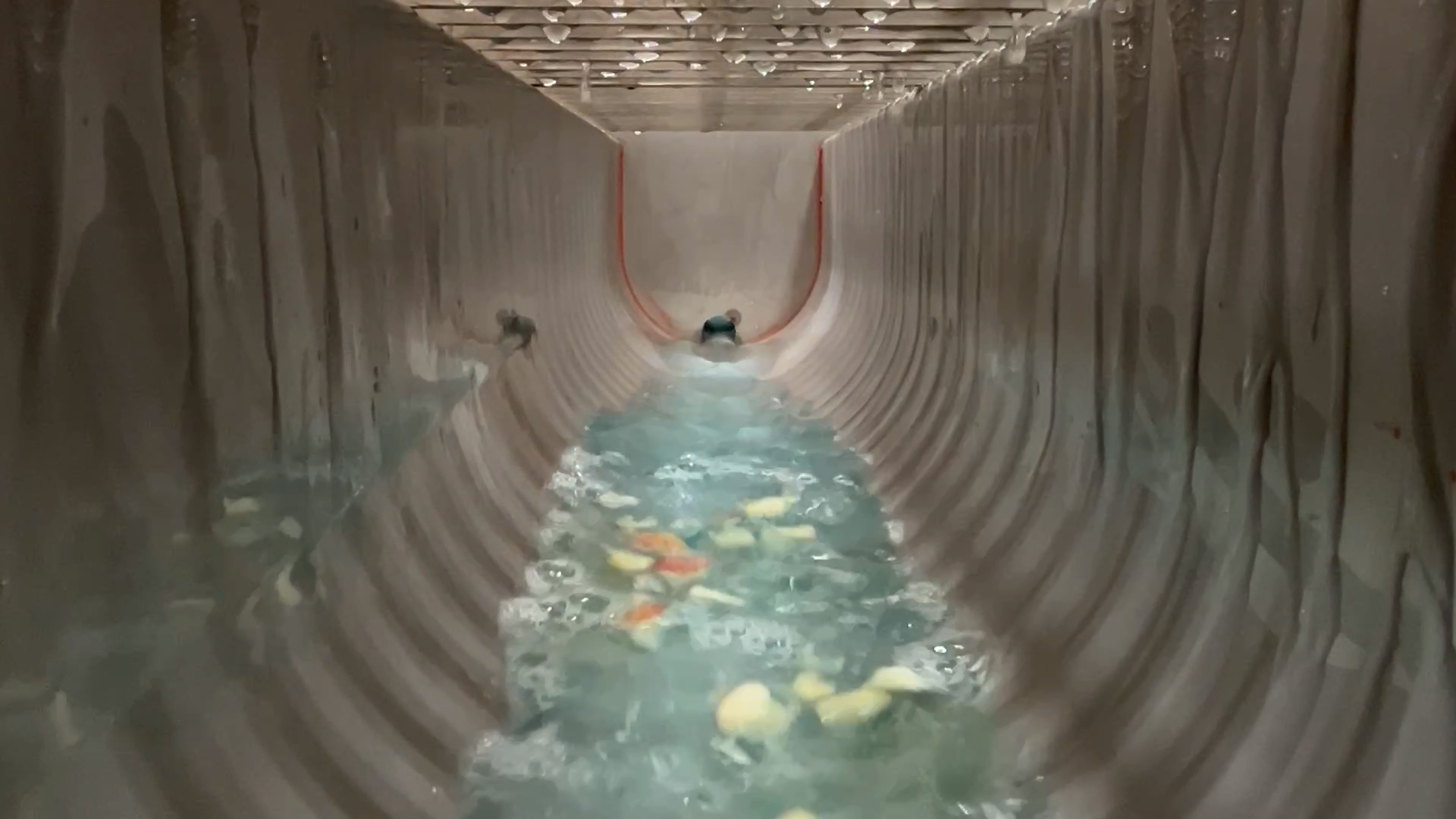 Trench_Drain_Interior_Solids